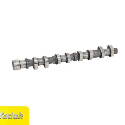 PKY000956